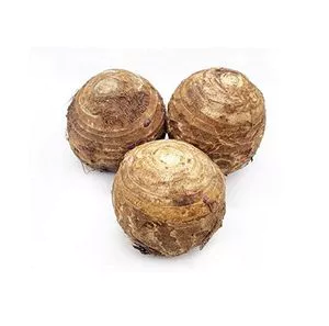  Hot Sale Fresh Vegetable Fresh Taro