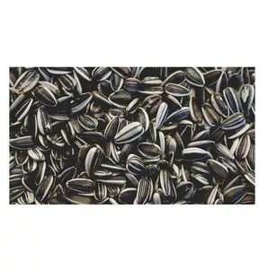Wholesale new crop sunflower seeds roasted sunflower seeds kernel
