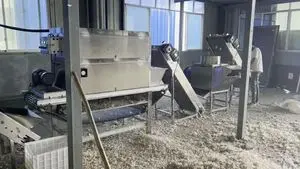 Máquina de descascar alho