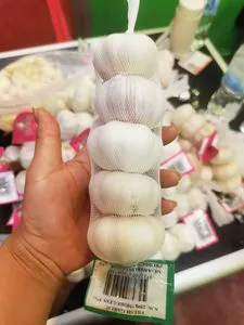 Alho fresco, cubos de alho, fatias de alho, alho em pó