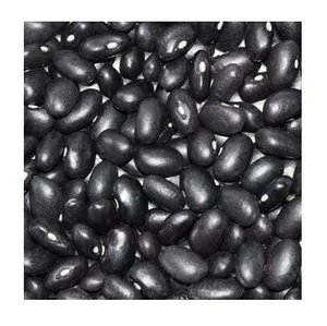 wholesale large number High Quality Organic Black Kidney Beans