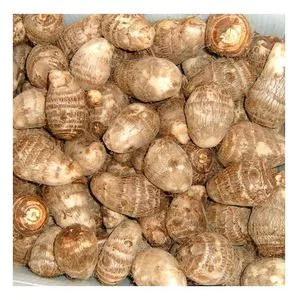new crop fresh taro with cheap price for sale