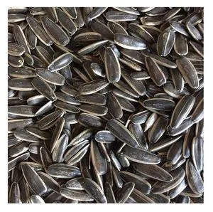Hight quality organic sunflower seeds original flavor roasted...