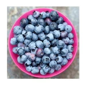 Wholesale Cheap Price Best Quality Fresh Blueberries Fruit For...