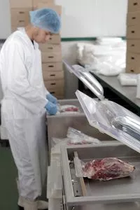 Frozen, Halal Grade A Beef meat, Pork Meat, Chicken meat,...