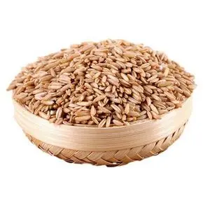 Qualitative oat grains most important grain feed crops enriched...