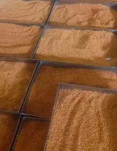 Alho Frito Granulado (Atacado)