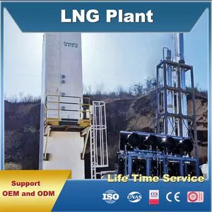 Natural gas liquefaction plant, well breath recovery, torch gas...