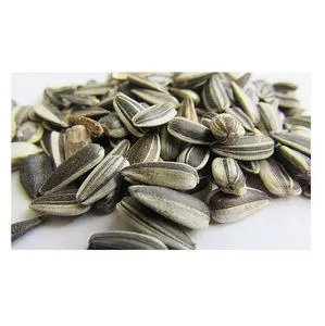 Wholesale High Quality Nuts Organic Sunflower Seeds SPK Kernels