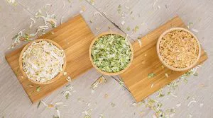 Egípcio de alho-poró desidratado