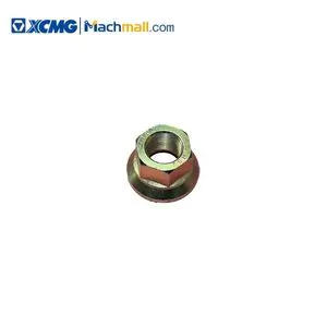 Peças de reposição de guindaste oficial da XCMG 51017001 porca...