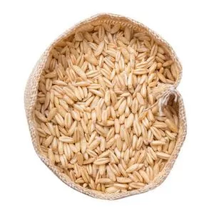 100% Pure Quality Rolled oats Grains Available / High Quality...