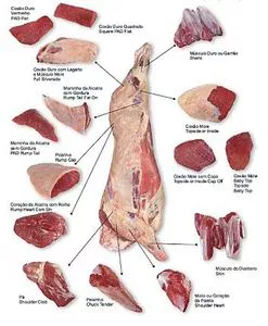 Frozen Beef Parts / Beef Omasum and other parts