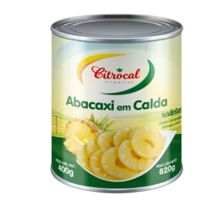 Pineapple slices in syrup