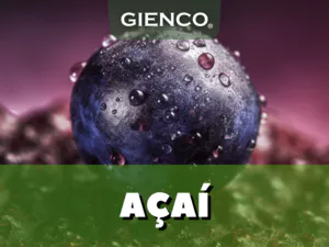 Baya de Acai