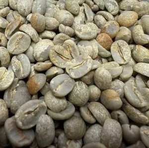 绿咖啡 100% 阿拉比卡里奥罗布斯塔硬饮料型咖啡阿拉比卡里约米纳斯