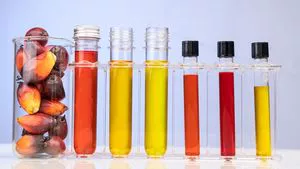 Premium Biodiesel Oils: Order Online Today!