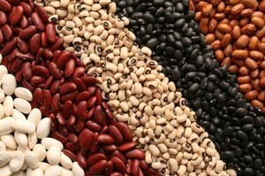 Kidney Beans ,Red and White Kidney Bean,Factory