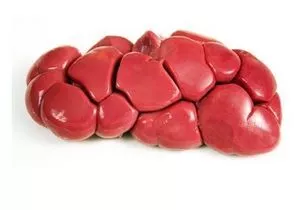 Brazilian Halal, w/ SIF, Frozen Beef Kidneys (Good Price)