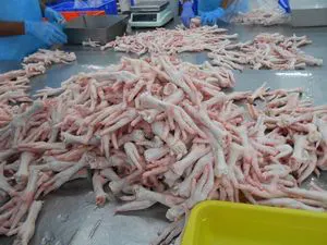 Halal Grade A Frozen Chicken Feet, Paws, Breast, Whole Chicken,...
