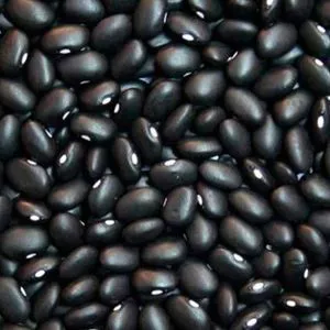 Black Kidney Beans