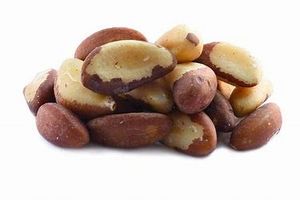 Castanha-do-pará da nova temporada