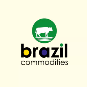 PEÇAS DE FRANGO CONGELADAS PARA QUALQUER PORTO SEGURO DO MUNDO