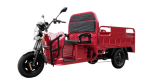 JINPENG JL150 Triciclo Elétrico de Carga | Veículo Elétrico de 3...