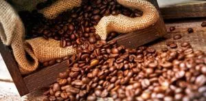 阿拉比卡咖啡，罗布斯托