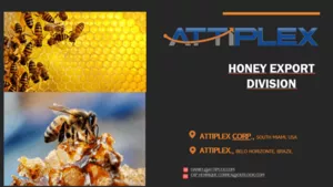 Miel pura y cera de abeja 