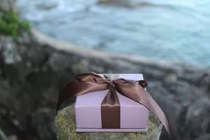 High-end jewelry wrapped gift box