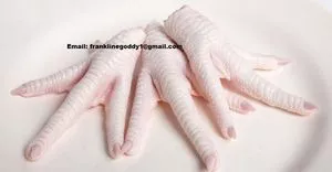 Patas de frango congeladas