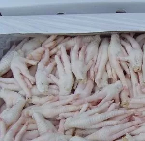 Frozen Chicken Feet | Brazil Chicken Feet