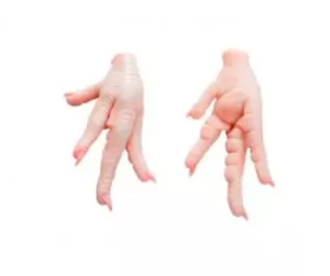 CHICKEN PAWS ORIGIN BRAZIL 