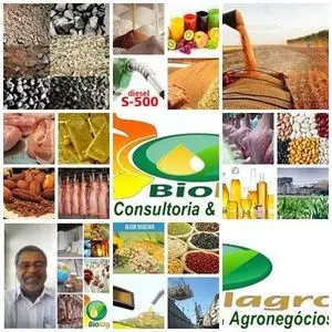 肉， 谷物， 油， 鱼， 鱼，