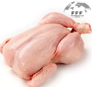 FRANGO HALAL