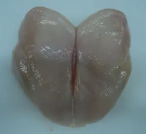 冷冻的鸡肉去皮去骨鸡胸肉