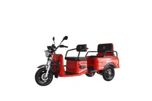 JINPENG E-FY Triciclo Elétrico de Carga | Veículo Compacto e...