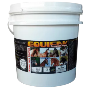 EQUICAV PREMIUM CARRERAS - Equino