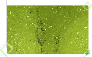 Erva Mate Cancheada Fina