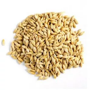 High Quality Barley Grains For Malt | Barley For Animal Feed...