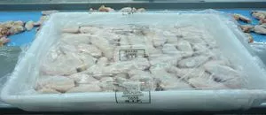 中间的冻的鸡翼