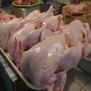 Pollo Entero Congelado Halal