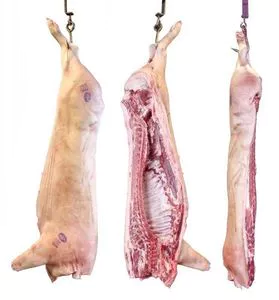 Frozen Pork for human consumption