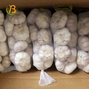 Mejor precio Ajo seco/fresco a granel