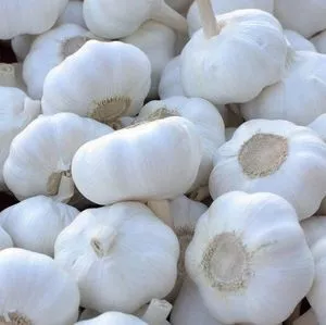 Ajo blanco puro