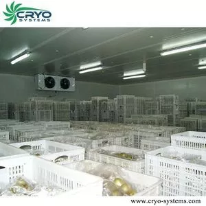 Cámara frigorífica industrial, cámara frigorífica para alimentos...