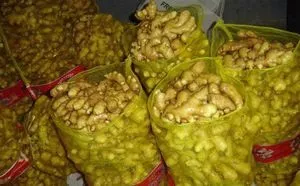 Alho fresco, gengibre fresco, alho granulado de gengibre...