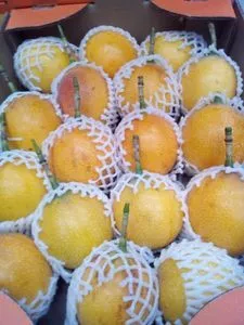 Granadilla