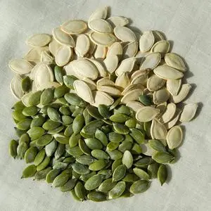 Organic Pumpkin Seeds Kernel